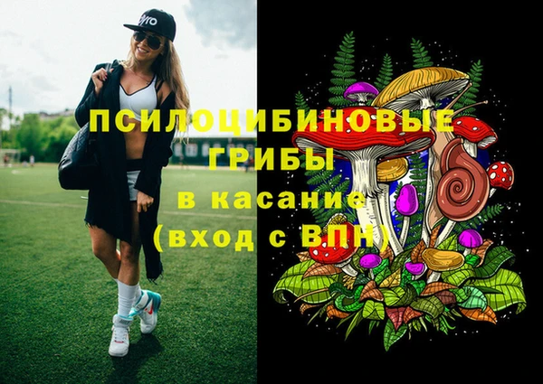 spice Заводоуковск